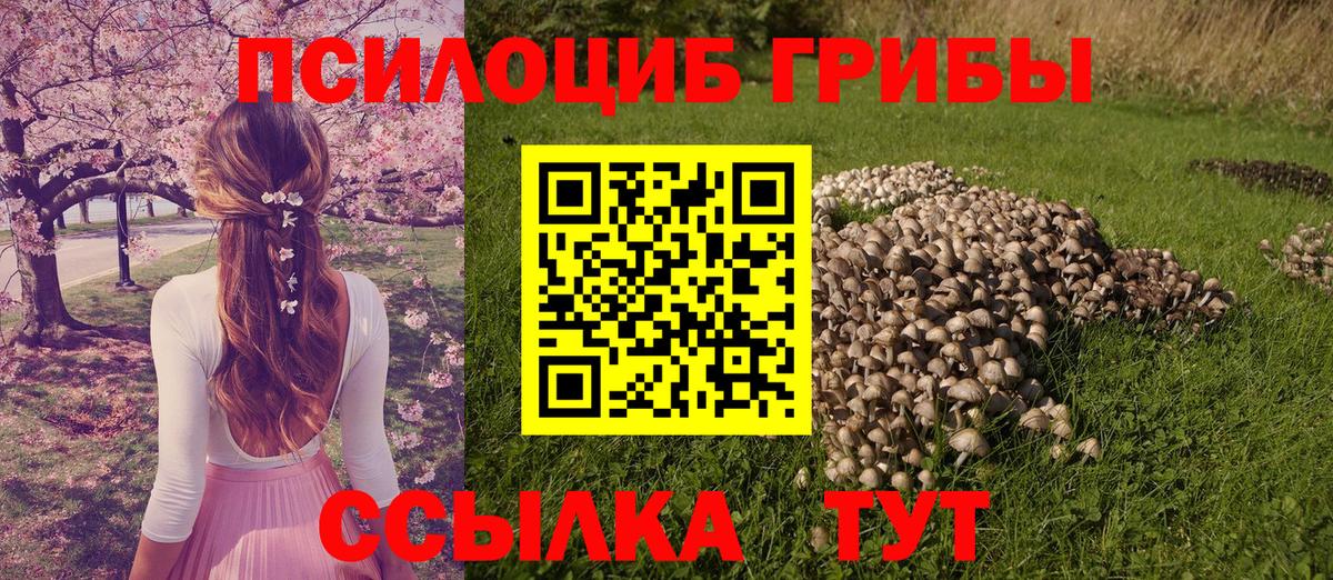 Чита  Галлюциногенные грибы мицелий  Вход с VPN 